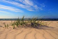 Am Ostseestrand