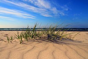 Am Ostseestrand