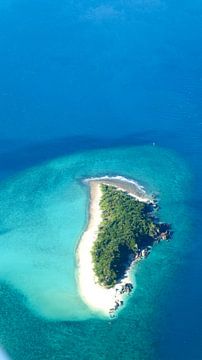 Tropisch eiland van Sascha Rottier