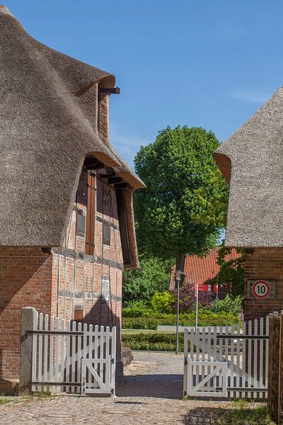 Parc de la rive sud, Eutin par Torsten Krüger