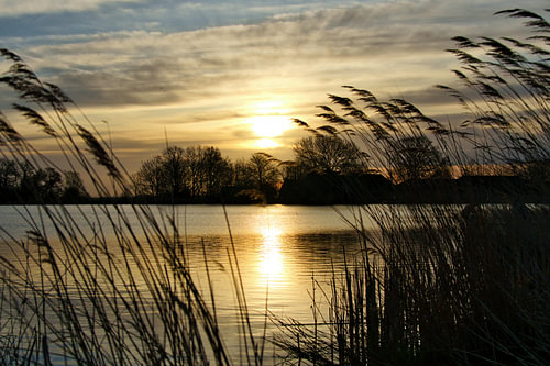 Gouden Rust – Zonsondergang aan het Water