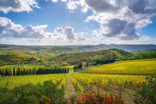 Herfstwijngaarden en glooiende heuvels in Chianti, Toscane