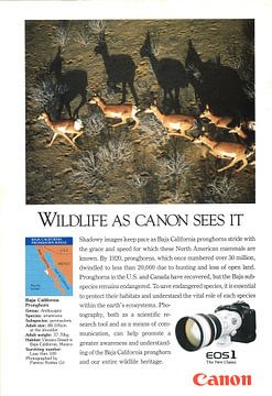 CANON ADVERTISING 90S by Jaap Ros