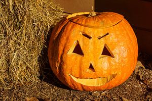 Pumpkin with face van Rico Ködder