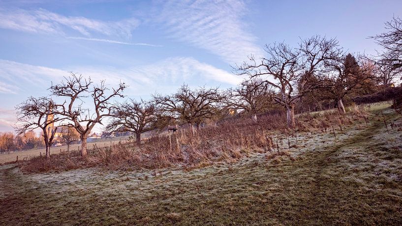 Old Orchard Vijlen par Rob Boon