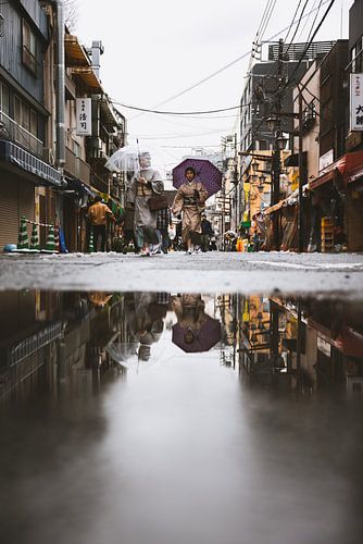 Geisha's van Tokyo: Bewaarders van Kunst en Elegantie