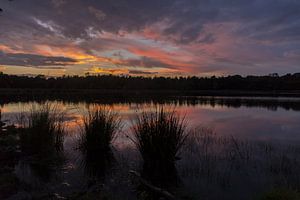 Zonsondergang met graspollen Strijbeekse Heide, Noord Brabant, Nederland, Holland van Ad Huijben