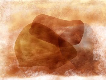 Des formes organiques abstraites aux couleurs terreuses