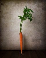 Carrot