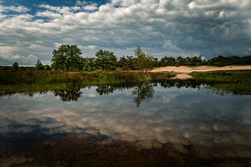 Spiegeling in het water in Nationaal Park Loonse en Drunense Duinen van Nicolette Suijkerbuijk Fotografie