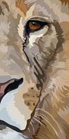 Lion portrait