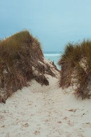 Dünen in der Bretagne | Meerblick Fotoabzug | Frankreich Reisefotografie von HelloHappylife