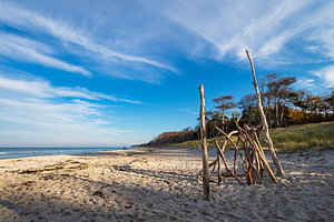 Baumstämme am Weststrand auf dem Fischland-Darß