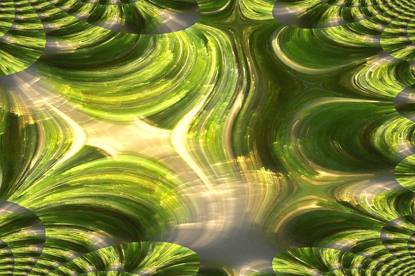 under trees - Fractals I by Steffi Hommel