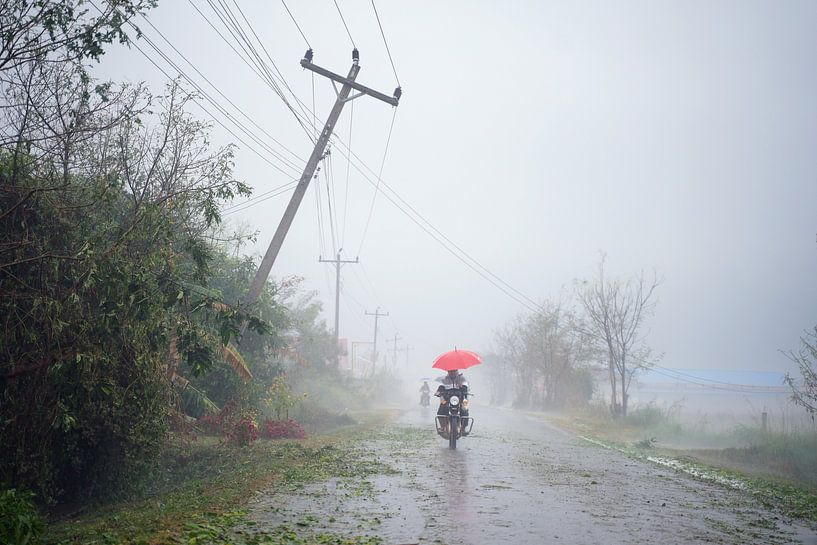 Après la tempête par Floris Verweij