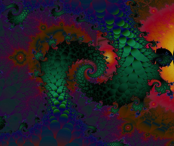Dragons tail by Bernardine de Laat