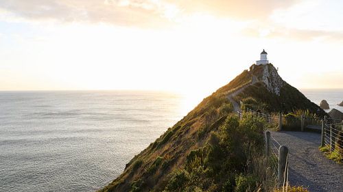 Schillerndes Sonnenaufgangslicht am Nugget Point Leuchtturm