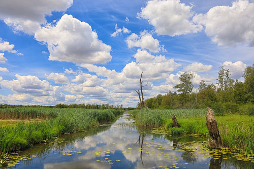 Clouds over the Federsee Canal near Bad Buchau in the district of Biberach