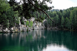 Natur. von Anita Verhaegh