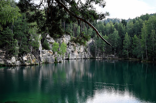 Nature.