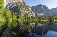 Reflection in Yosemite National Park