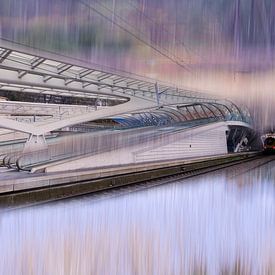 Liege station abstract with incoming trainm by Marly De Kok