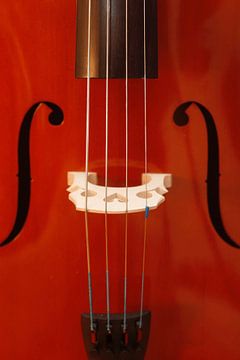 Cello von Thomas Jäger
