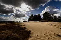 Sanddrift Kootwijkerzand