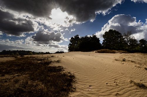 Zandverstuiving Kootwijkerzand