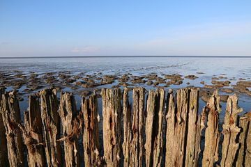 Moddergat, Waddenzee van Taco Ruiten