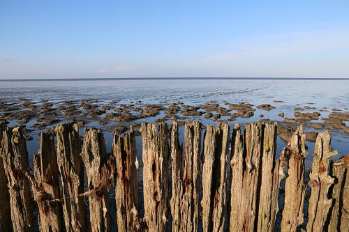 Moddergat, Waddenzee