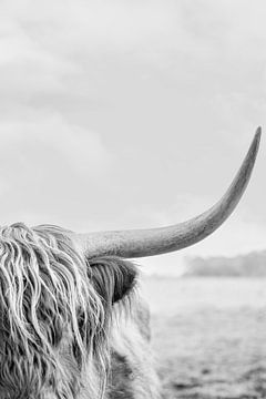 Kracht en Stille Gratie Schotse Hooglander in Zwart-Wit van Femke Ketelaar