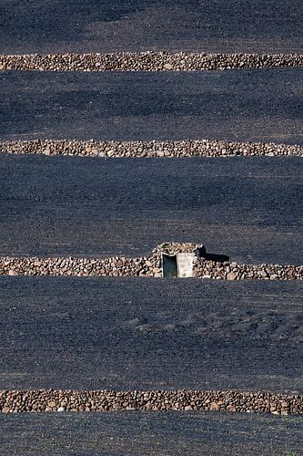 Landbouwpercelen op Lanzarote