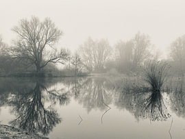 A winter morning reflected in the water by Marie-Christine Goergen
