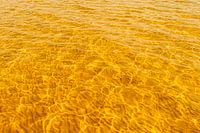 The sun dances on the water