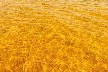 Le soleil danse sur l'eau