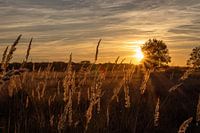 Zonsondergang over de heide
