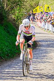 Tadej Pogacar on the Koppenberg