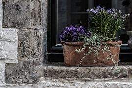 A southern touch by Rik Verslype