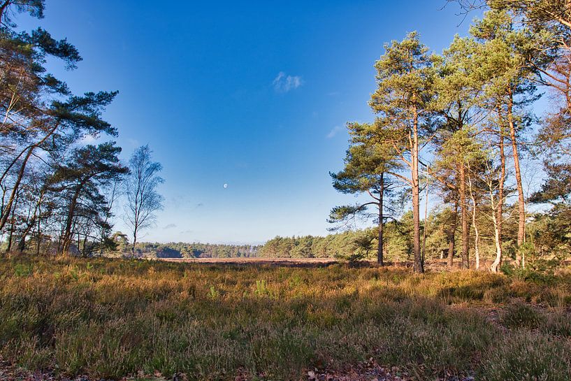 View through by Henrico Fotografie
