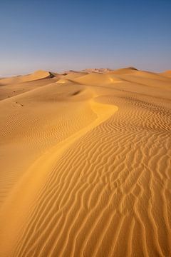 Rub al Khali Desert Abu Dhabi van Achim Thomae