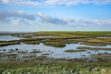 Terschelling dans toute sa splendeur sur Dirk van Egmond