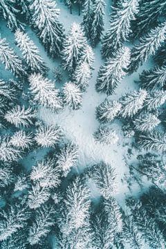 Winterbos van Poster Art Shop