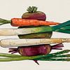 Art culinaire : Assortiment coloré de légumes avec betteraves, carottes et asperges sur Studio Pieternel