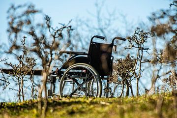 Rolstoel in de natuur van Brian Morgan