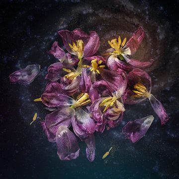 Tulpen in verval van Monique van Velzen
