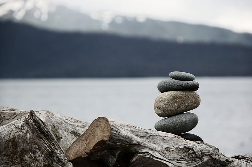 Everything in balance by Stephan Tamminga