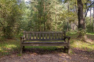 Take a seat - Natuurfoto van een bankje in het bos van Qeimoy