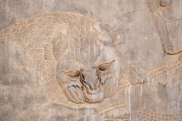 Persepolis / Parsa van Maarten Verhees