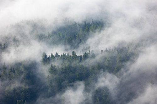 Magie du brouillard : paysages de montagne en Autriche